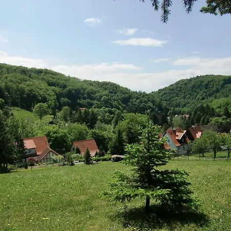 Semesterbostad Haus Am Wald *