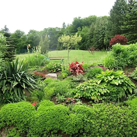 Haus Am Wald Hébergement de vacances *