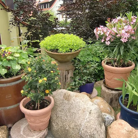 Haus Am Wald Stolberg i. Harz