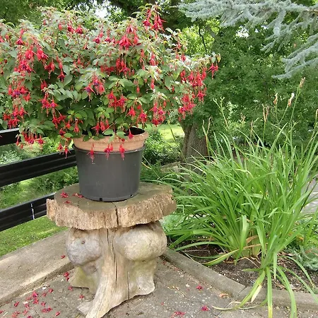 Semesterbostad Haus Am Wald Stolberg i. Harz