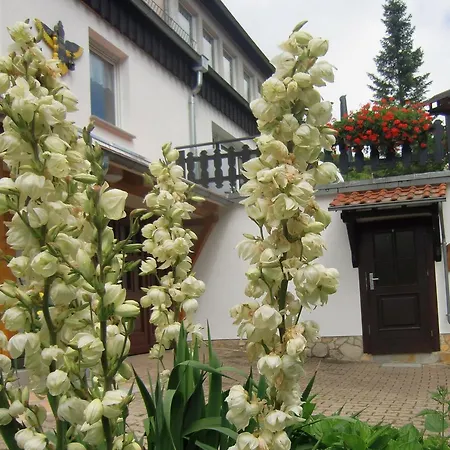 Haus Am Wald Hébergement de vacances