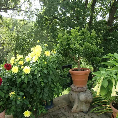 Haus Am Wald * Stolberg i. Harz