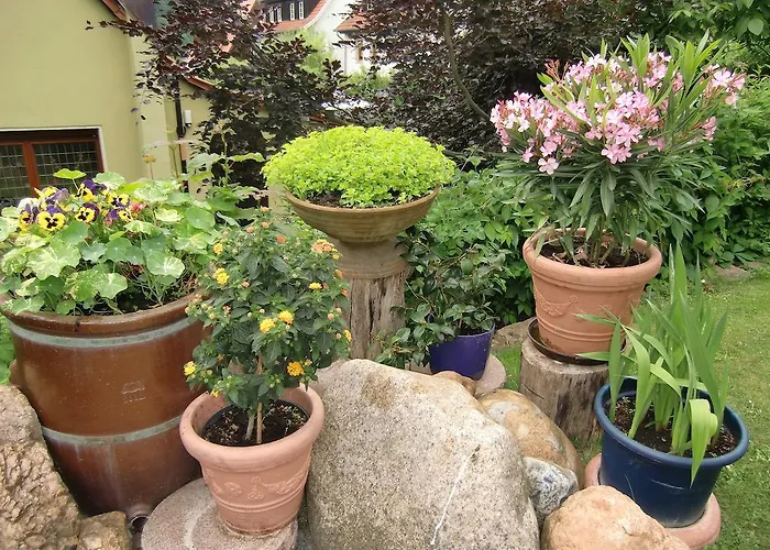 Haus Am Wald Stolberg i. Harz