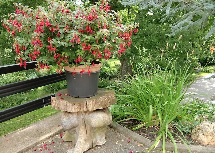 펜션 Haus Am Wald Stolberg i. Harz