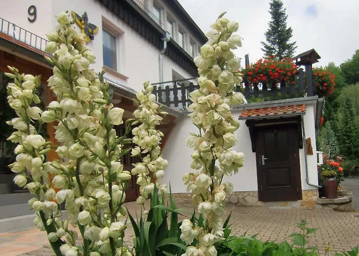 Haus Am Wald Vakantiehuis