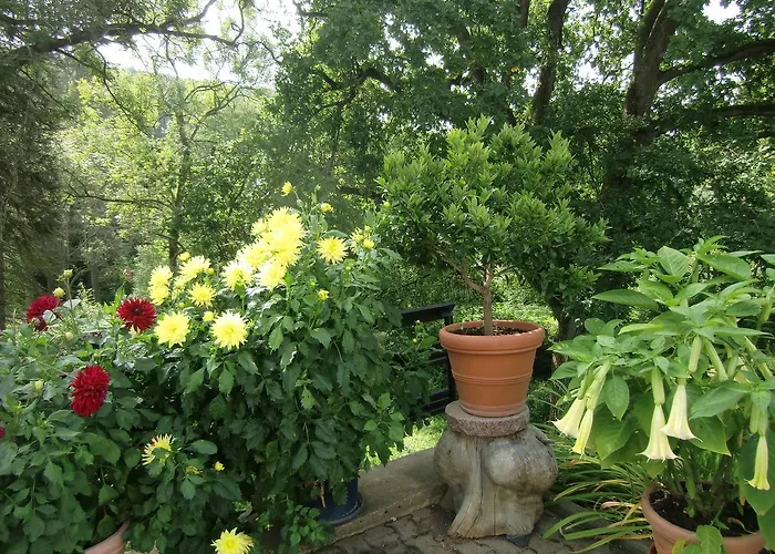 Haus Am Wald * Stolberg i. Harz